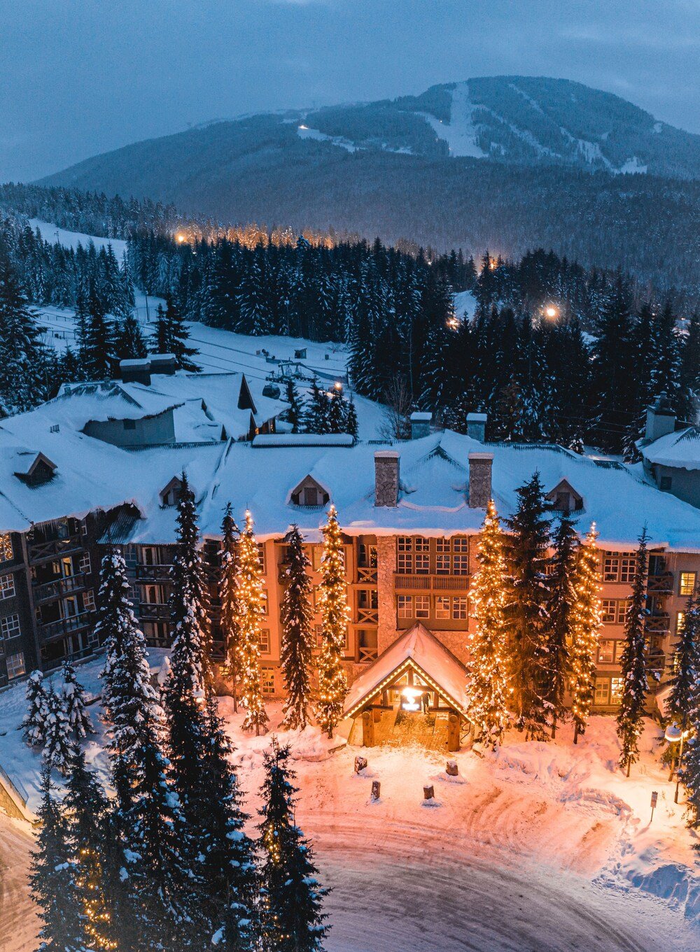 Snow-covered lodge building surrounded by pine trees