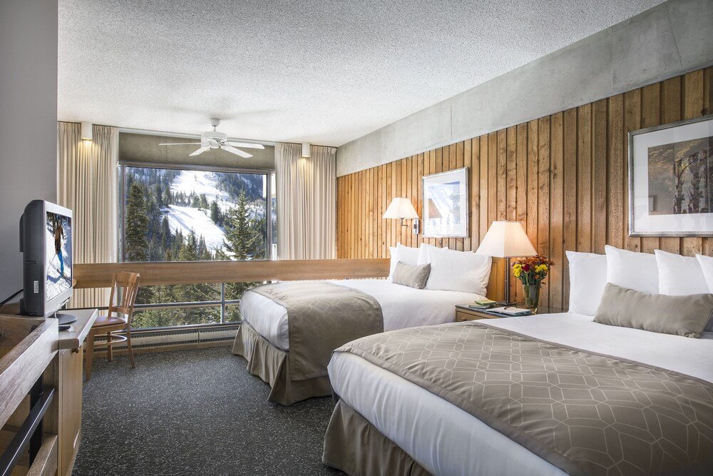 Hotel room with a comfortable bed