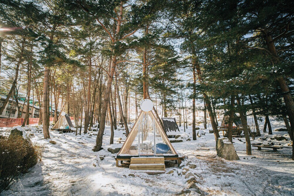 Snow-covered forest with a wooden structure
