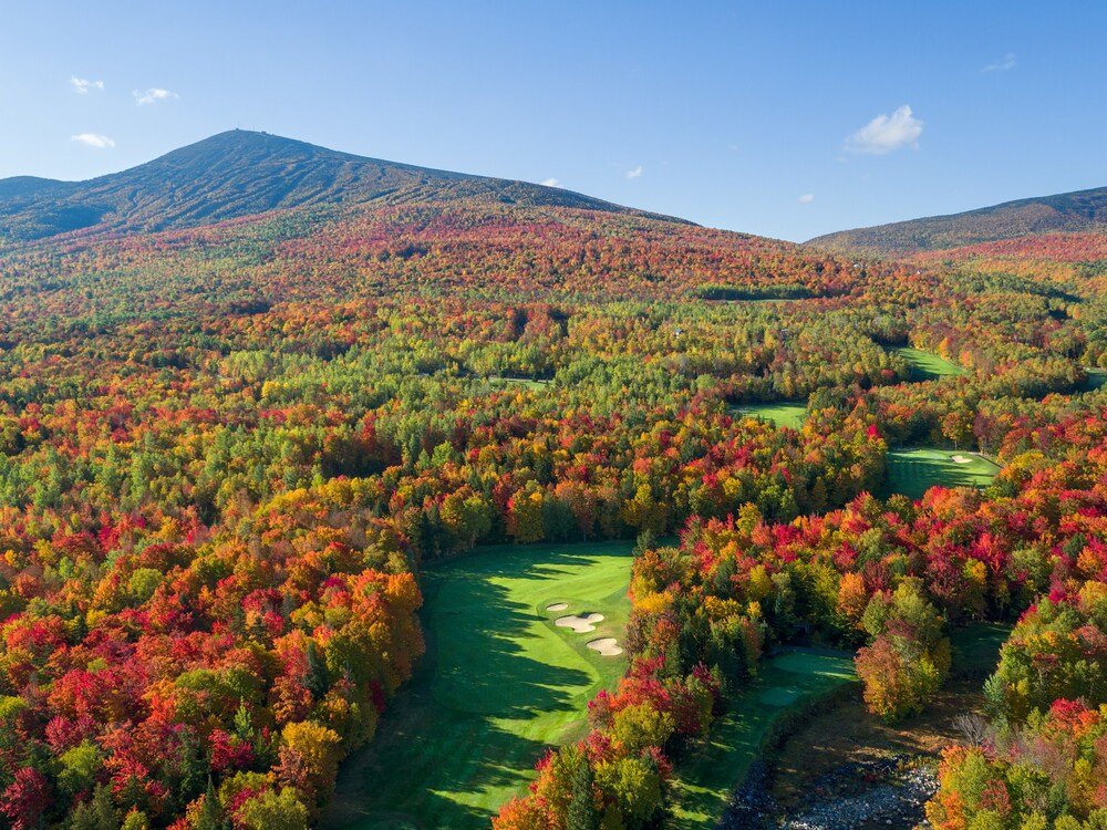 Golf course near the hotel in summer